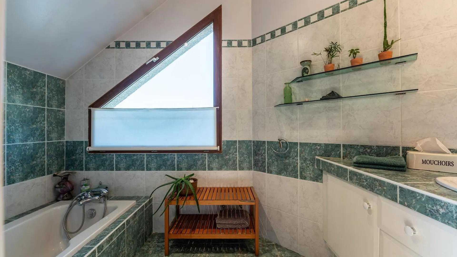 Holiday home Villa Ginkgo Doussard